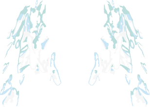 Foor Accessory