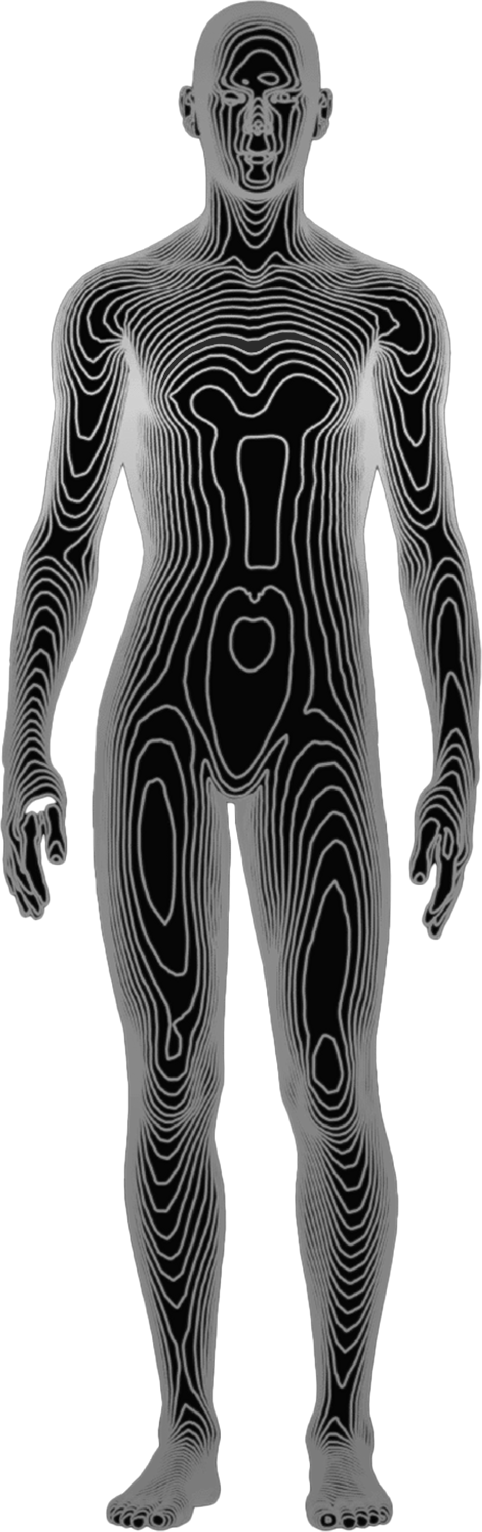 Human Body